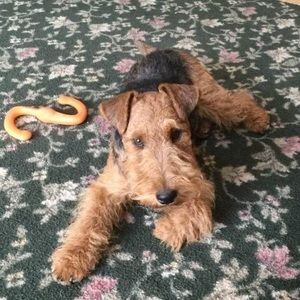 Meet your Posher, Phyllis